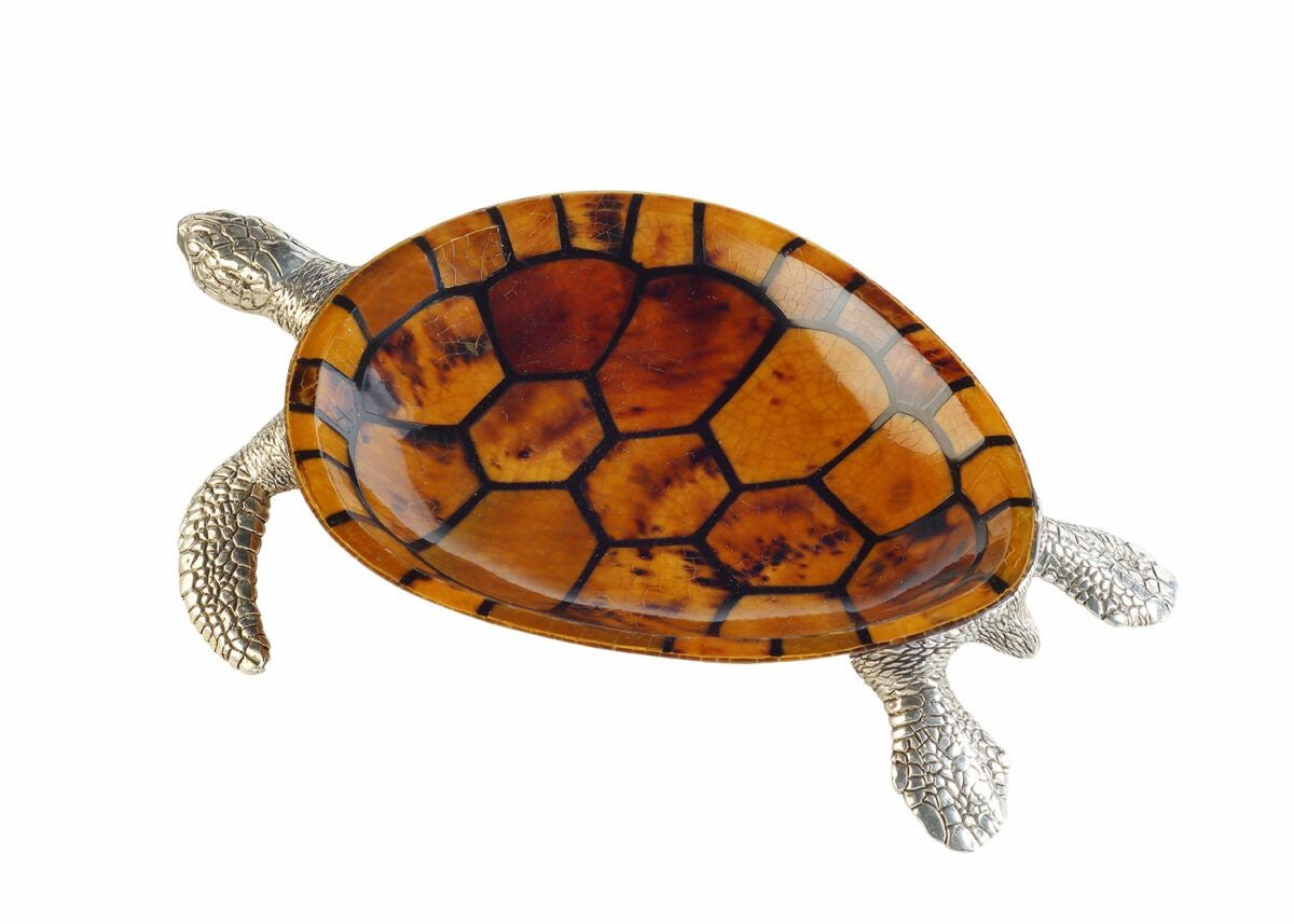 ディッシュ（カメ）